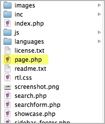 page.php a screenshot of the file system with the page.php file located in your theme
