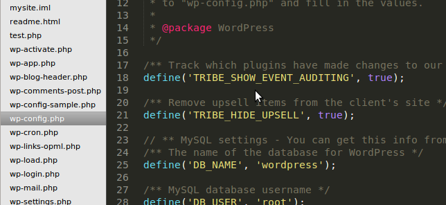 adding-constants-wp-config